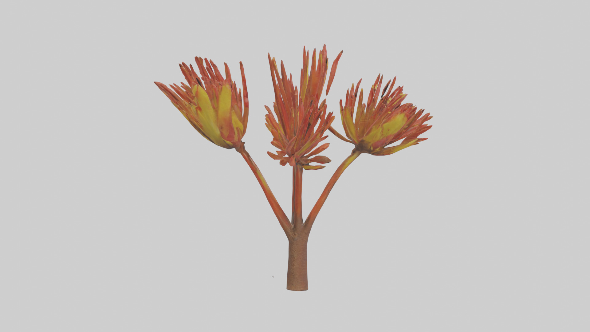 Kangaroo Mouse hopping model Low-poly 3D model_21