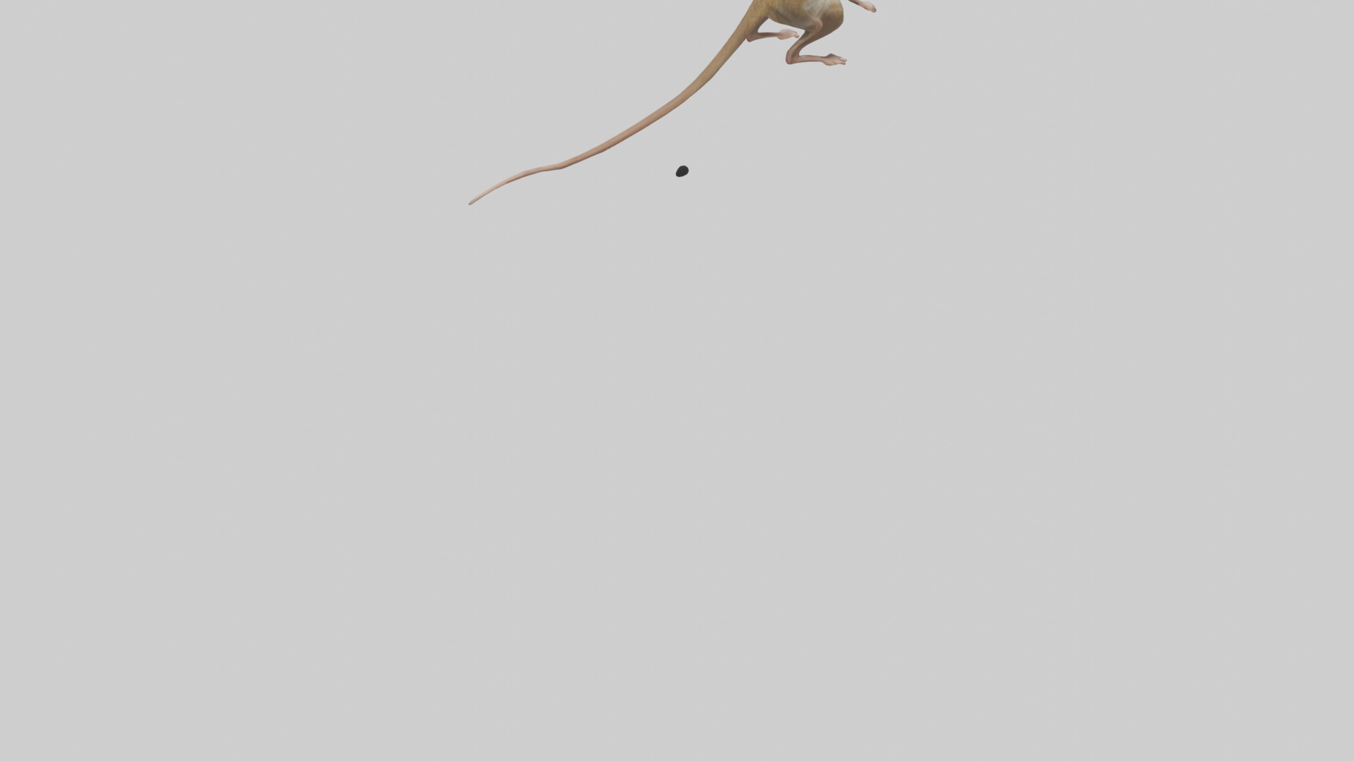 Kangaroo Mouse hopping model Low-poly 3D model_4