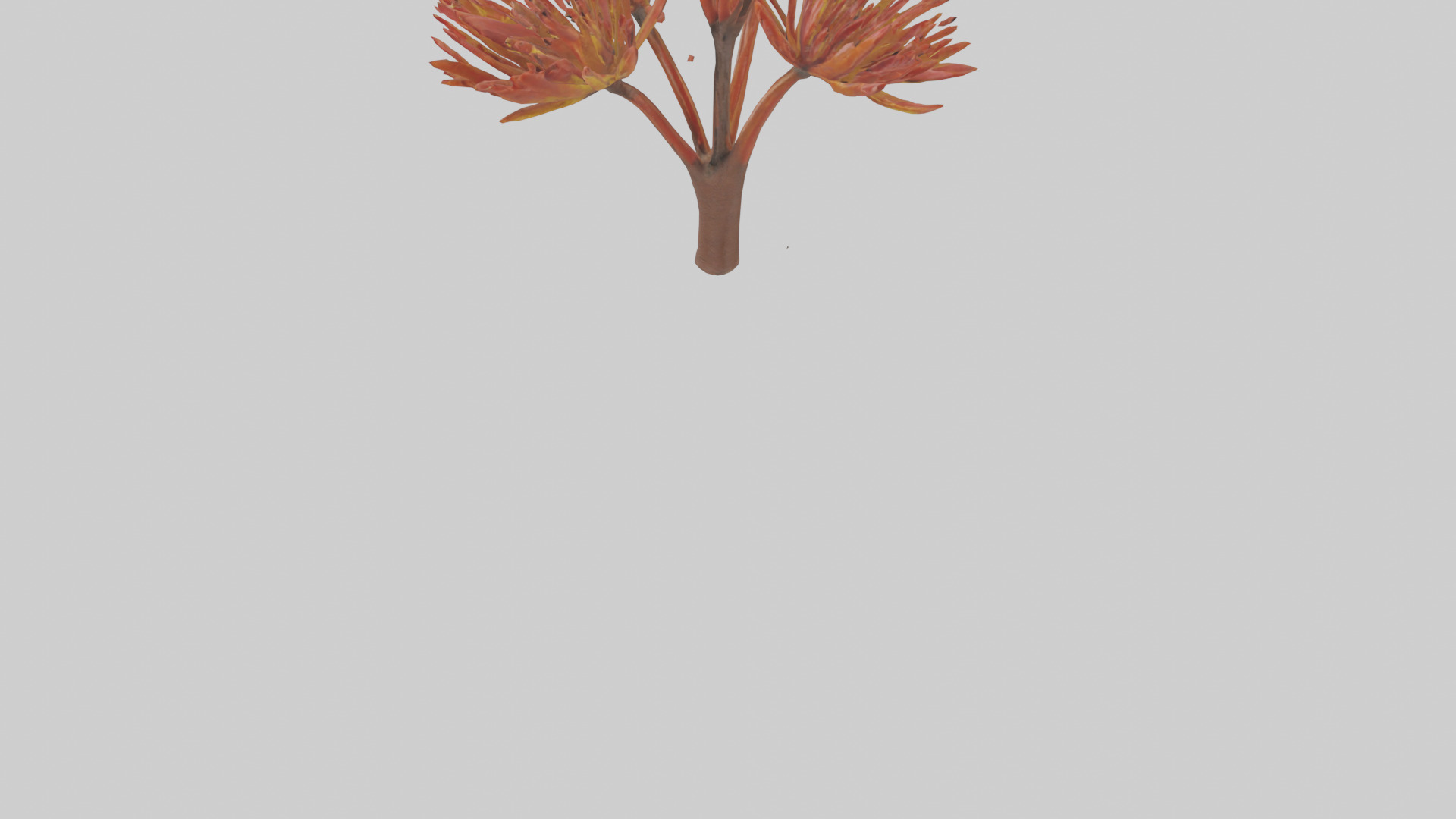 Kangaroo Mouse hopping model Low-poly 3D model_12