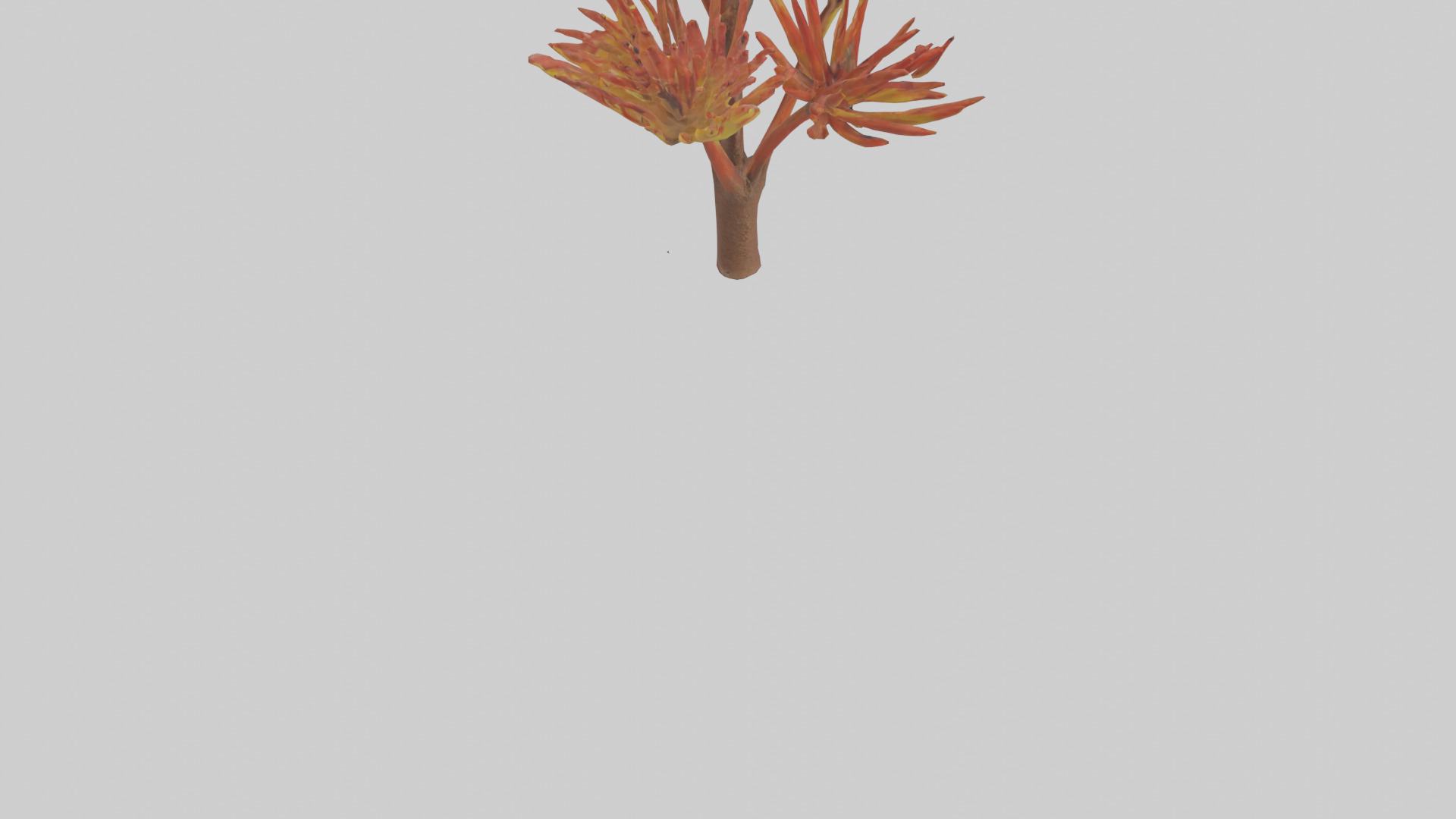 Kangaroo Mouse hopping model Low-poly 3D model_20