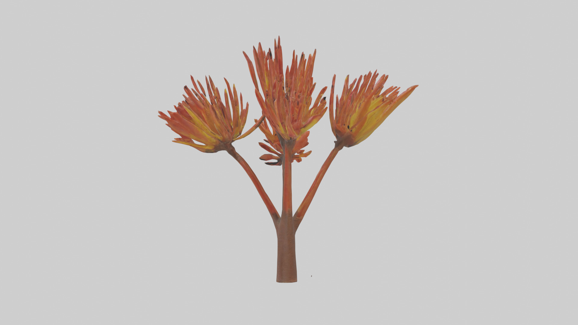 Kangaroo Mouse hopping model Low-poly 3D model_17