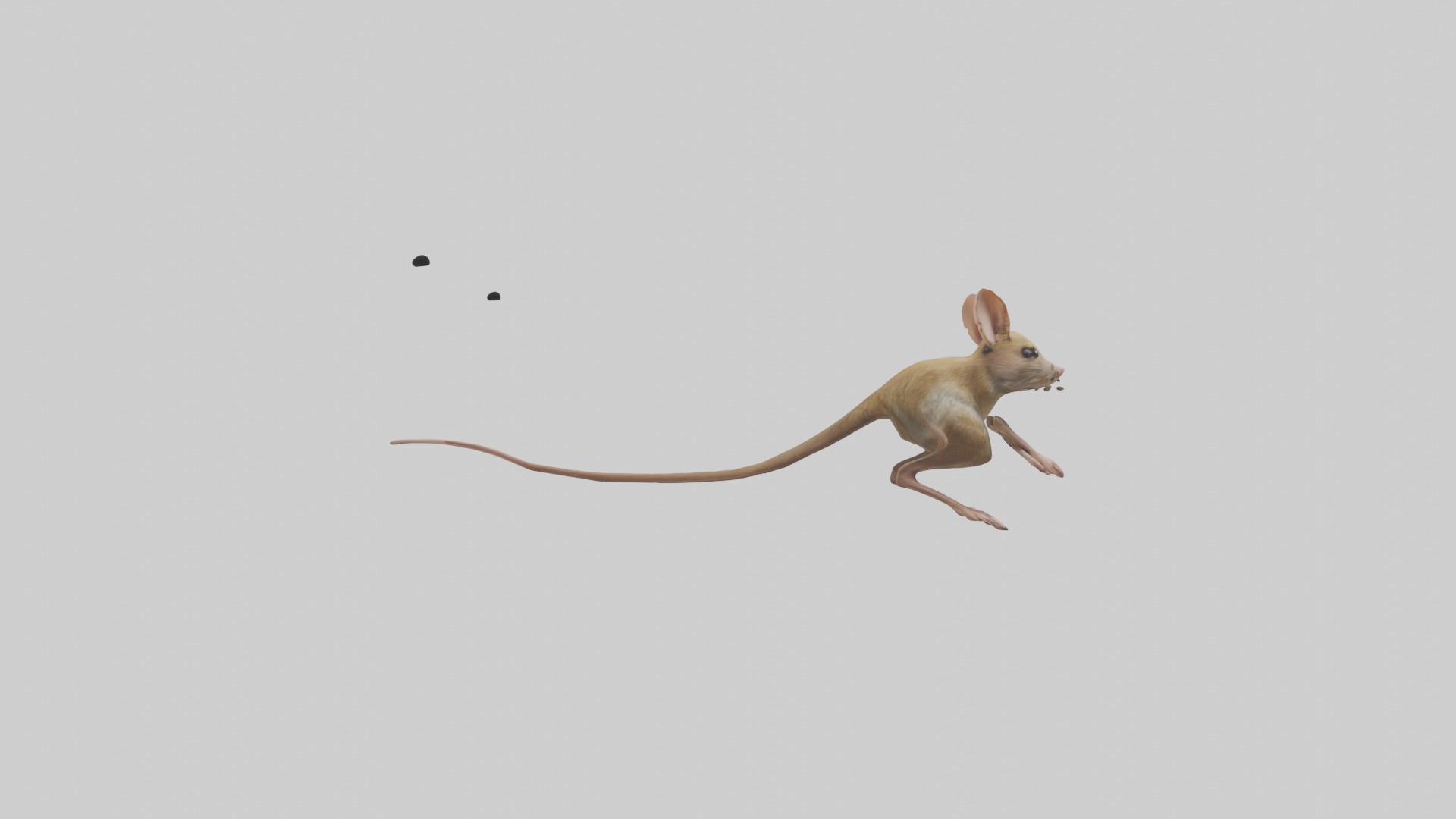 Kangaroo Mouse hopping model Low-poly 3D model_2