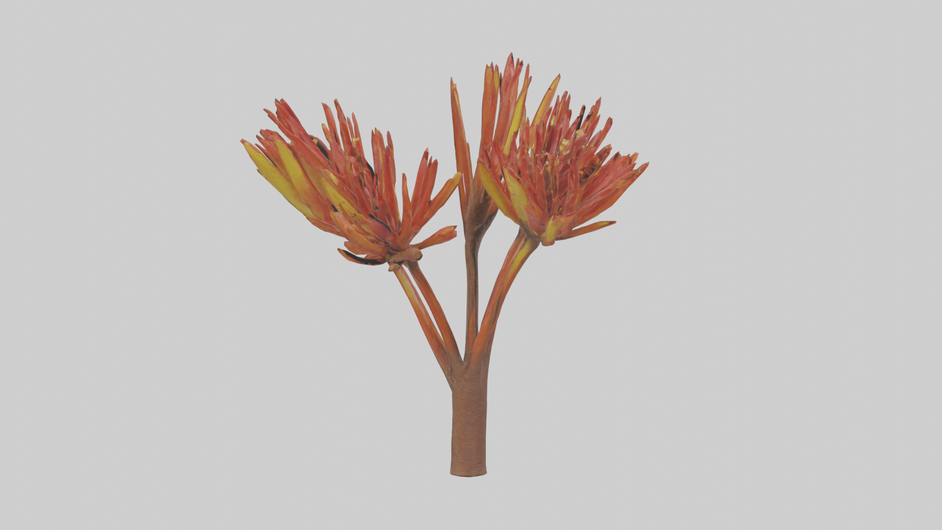 Kangaroo Mouse hopping model Low-poly 3D model_10