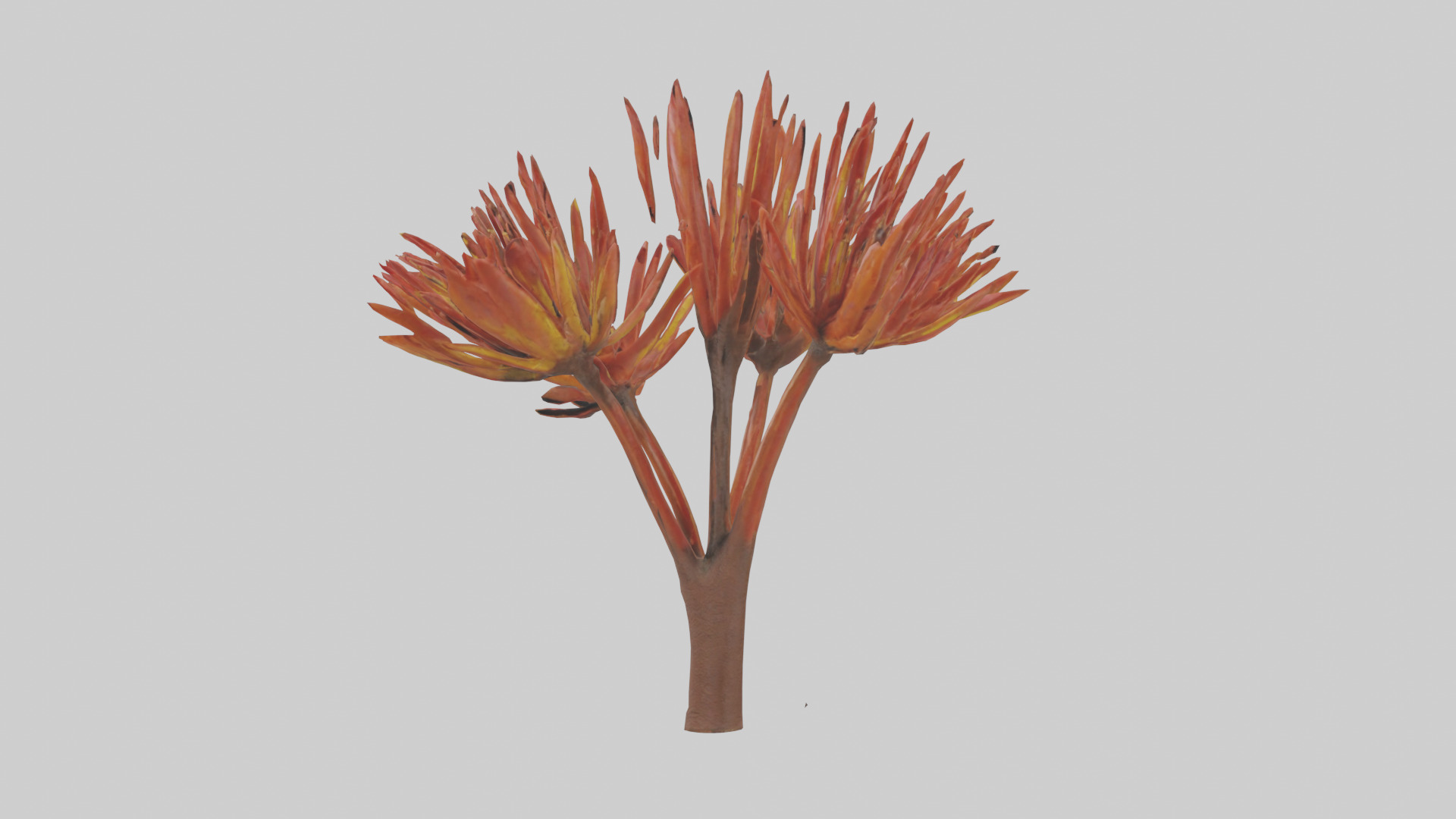 Kangaroo Mouse hopping model Low-poly 3D model_11