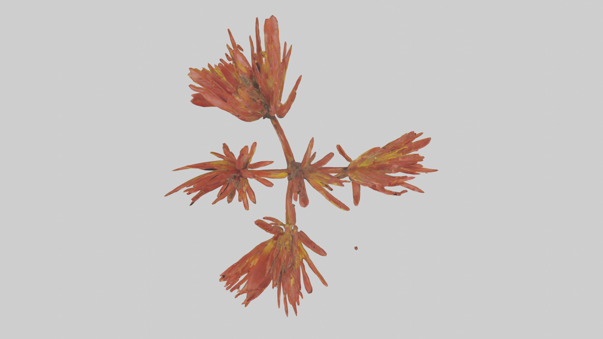 Kangaroo Mouse hopping model Low-poly 3D model_24