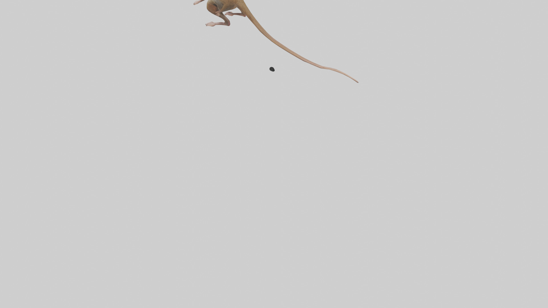 Kangaroo Mouse hopping model Low-poly 3D model_3