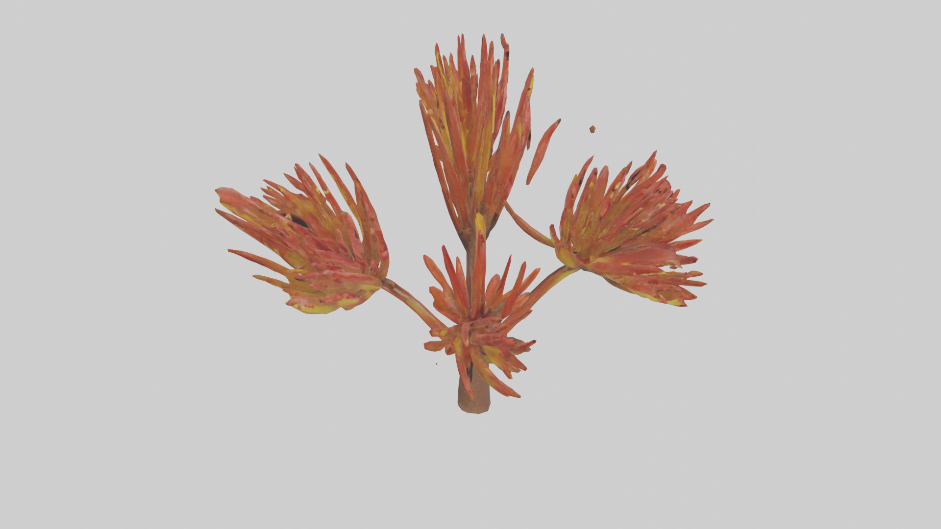 Kangaroo Mouse hopping model Low-poly 3D model_22