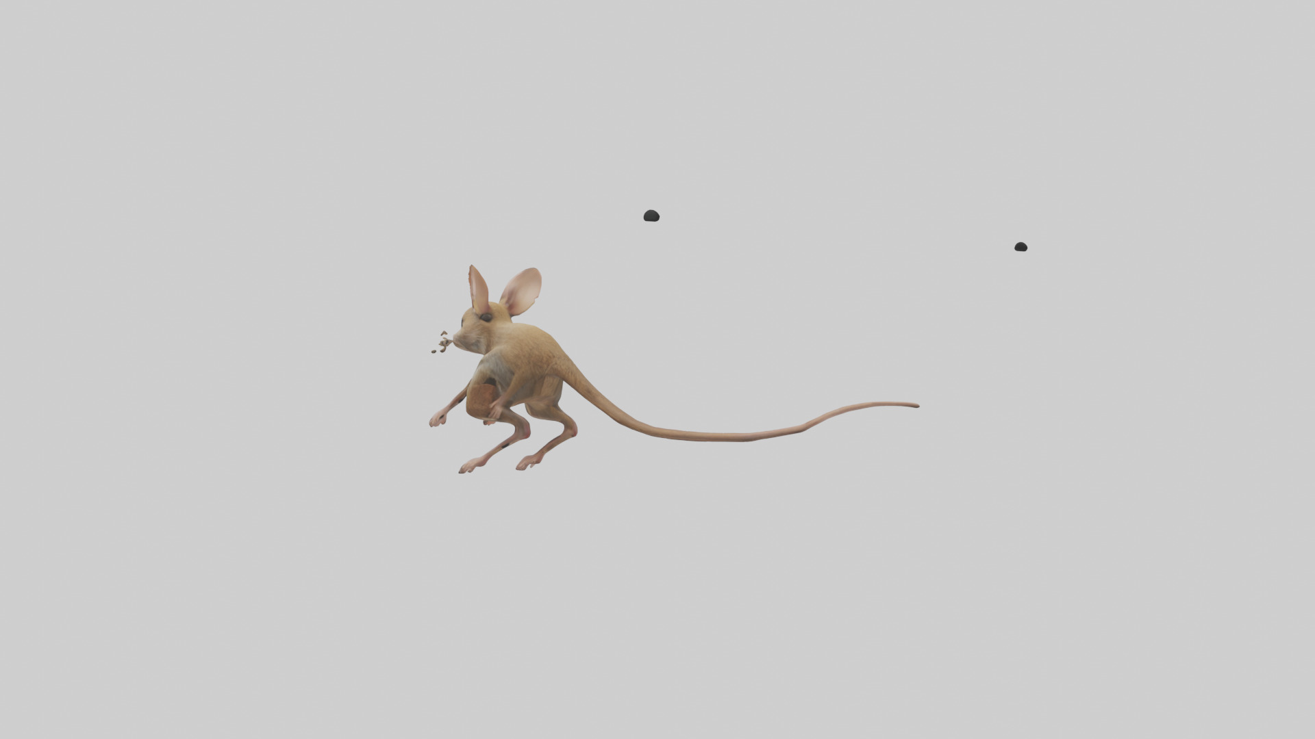 Kangaroo Mouse hopping model Low-poly 3D model_5