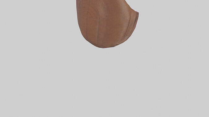 Kangaroo Pouch Low-poly 3D model 5