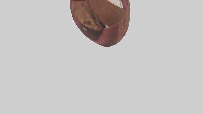 Kangaroo Pouch Low-poly 3D model 6