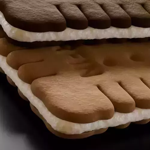 Realistic 3D Biscuit 