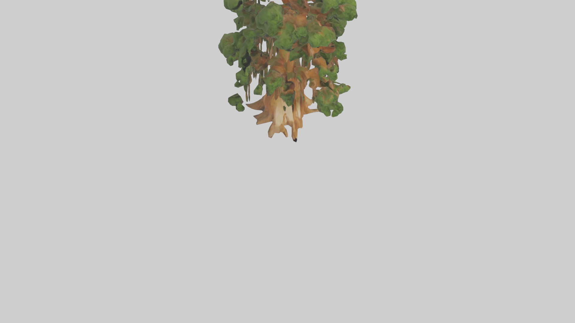 Kauri tree model Low-poly 3D model_6