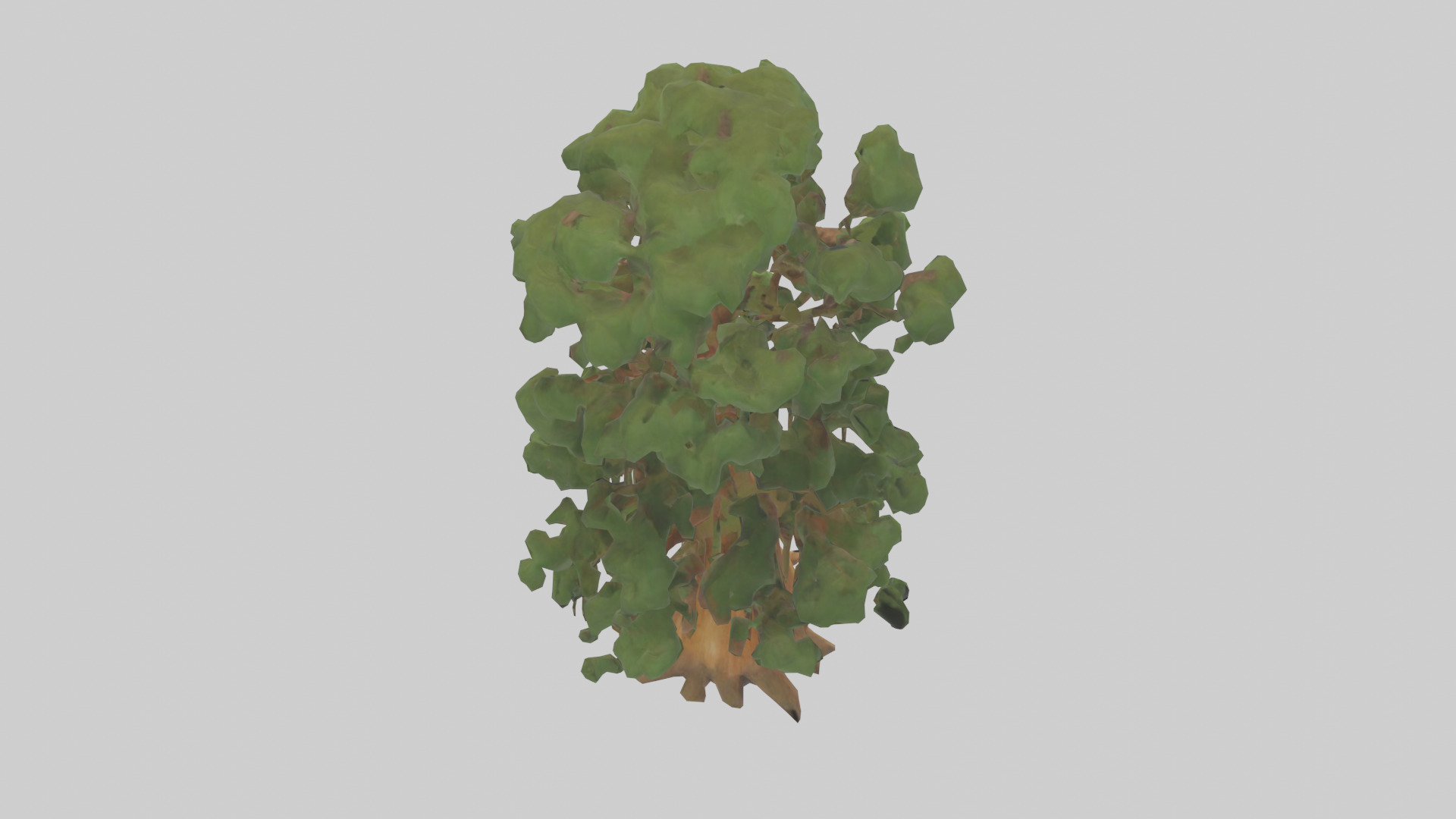 Kauri tree model Low-poly 3D model_15