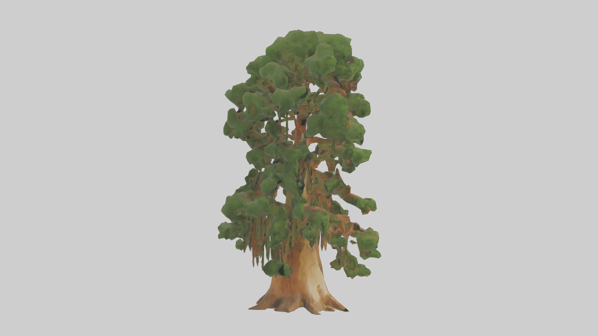 Kauri tree model Low-poly 3D model_13