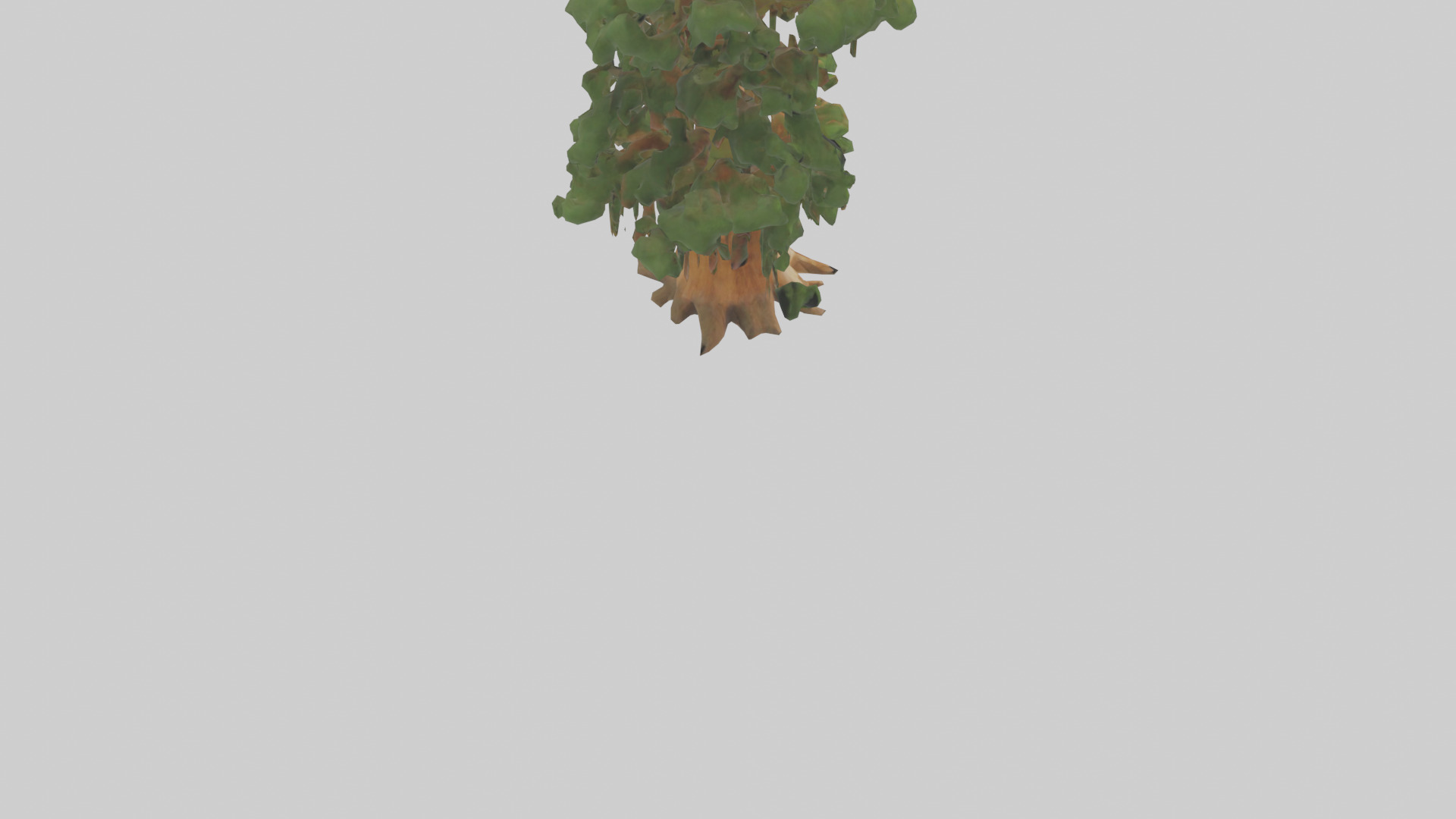 Kauri tree model Low-poly 3D model_4