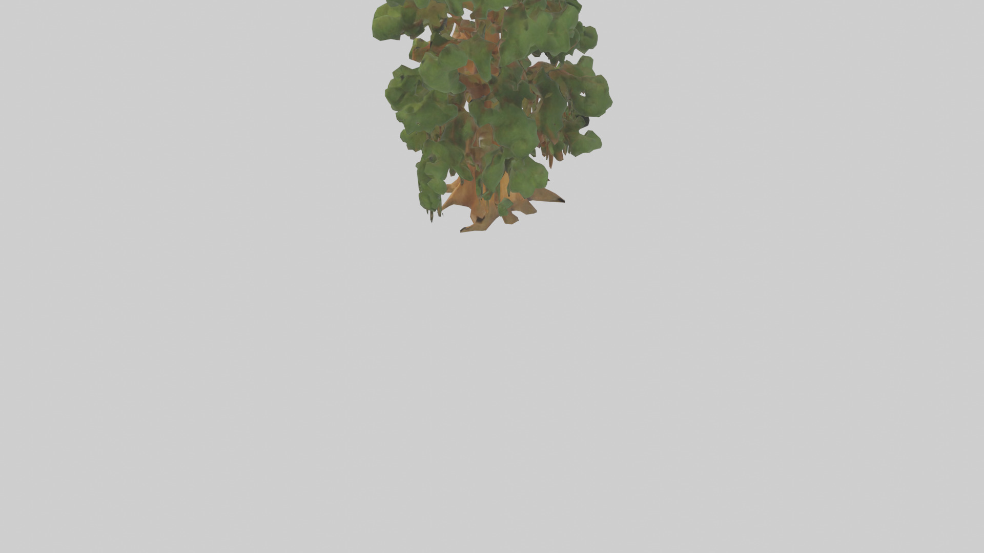Kauri tree model Low-poly 3D model_3