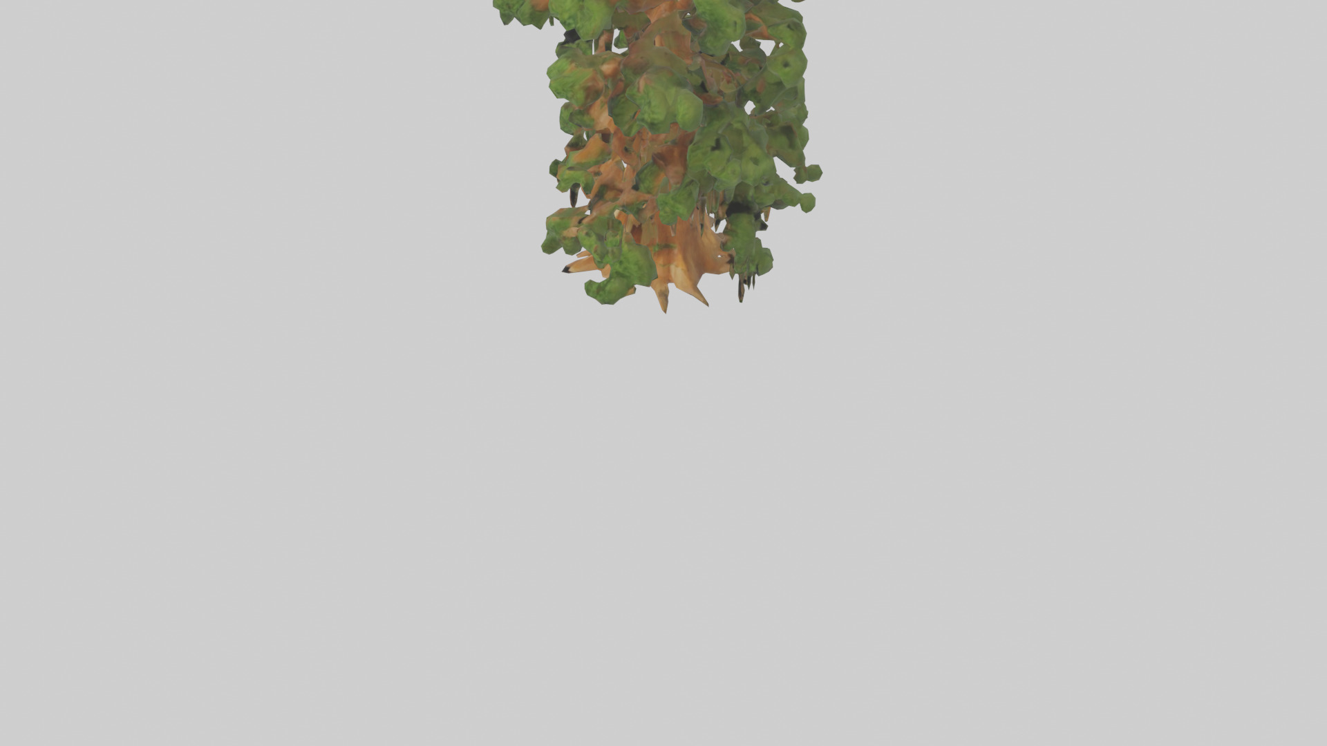 Kauri tree model Low-poly 3D model_5