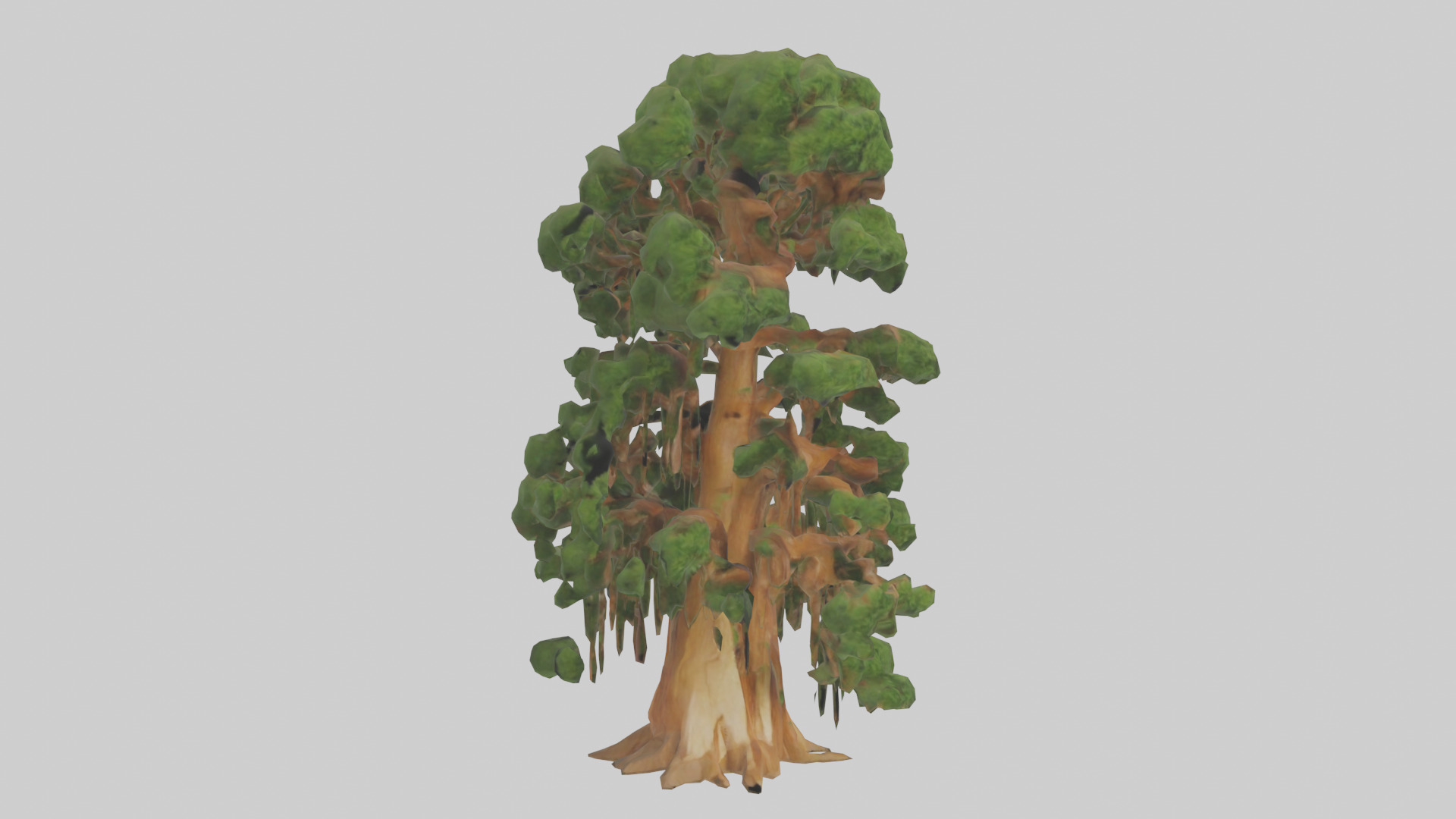 Kauri tree model Low-poly 3D model_7