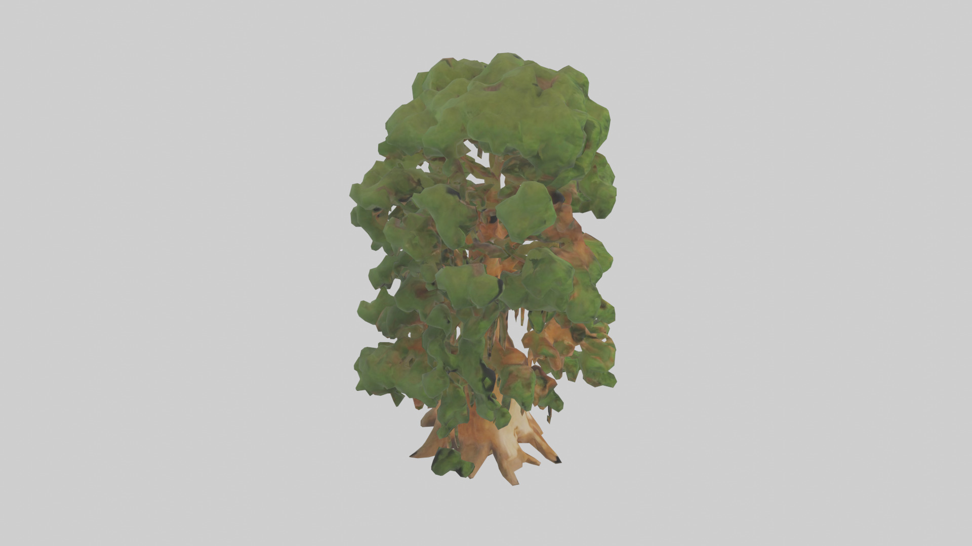 Kauri tree model Low-poly 3D model_18