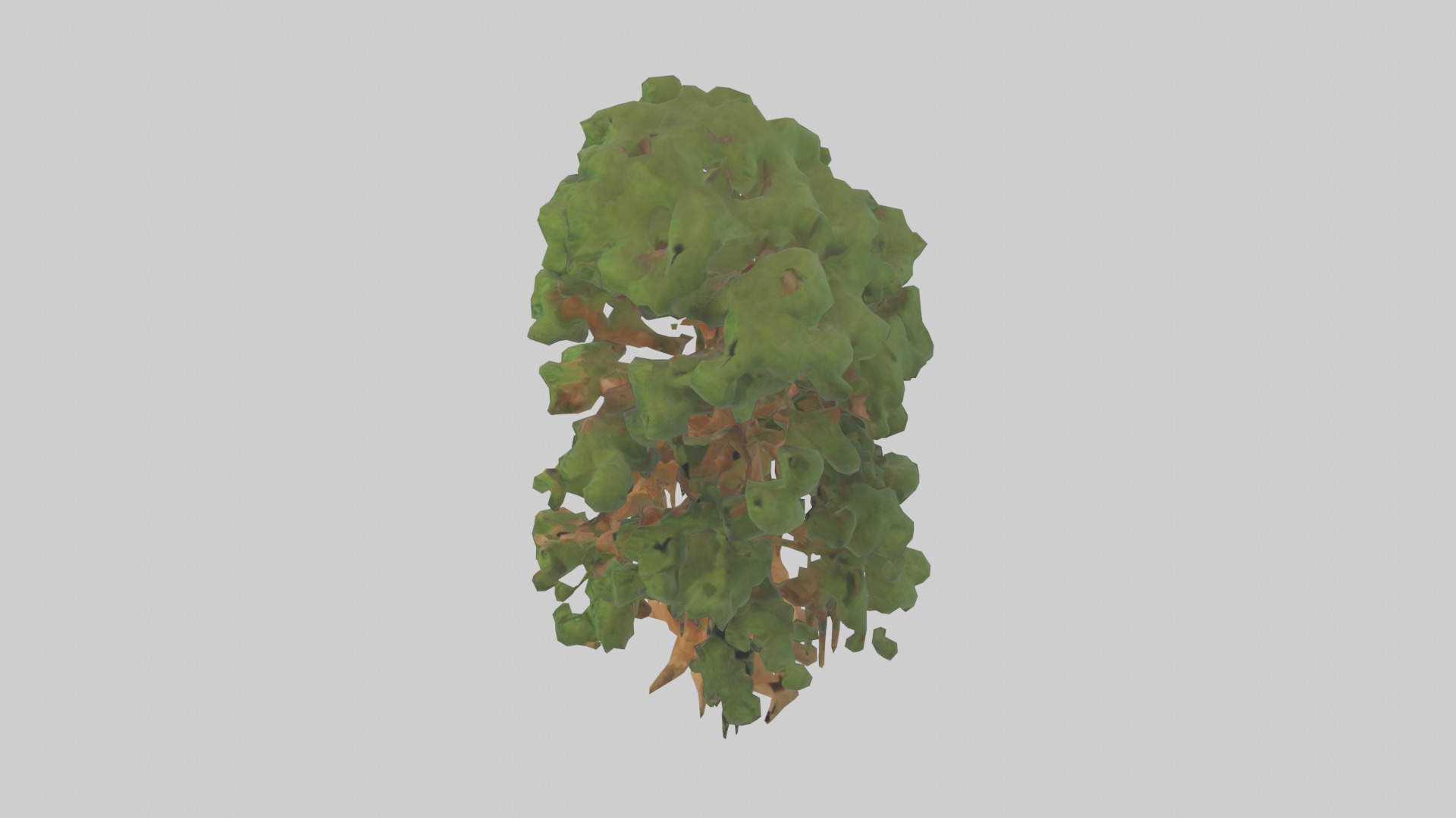 Kauri tree model Low-poly 3D model_17