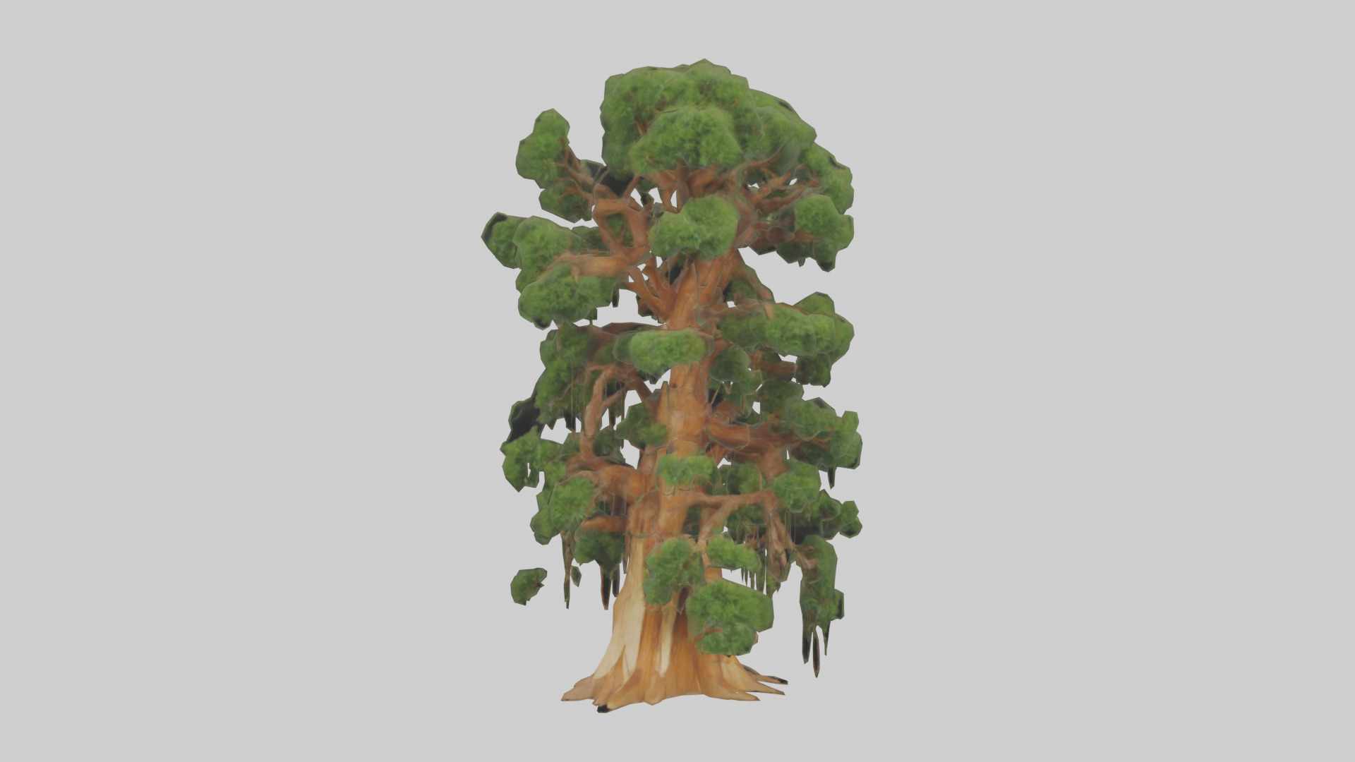 Kauri tree model Low-poly 3D model_9