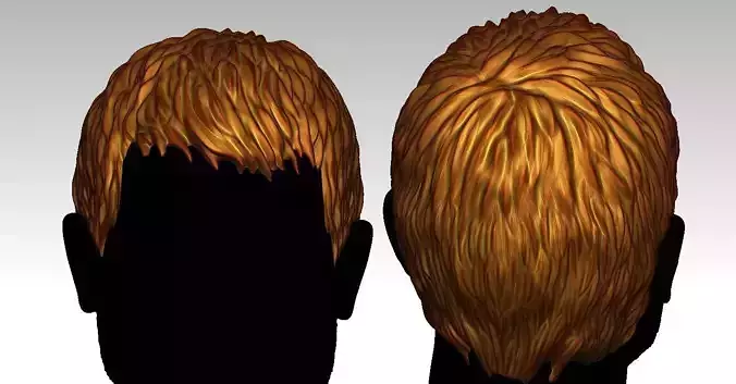 3D Hair style for Man V18 3D print model