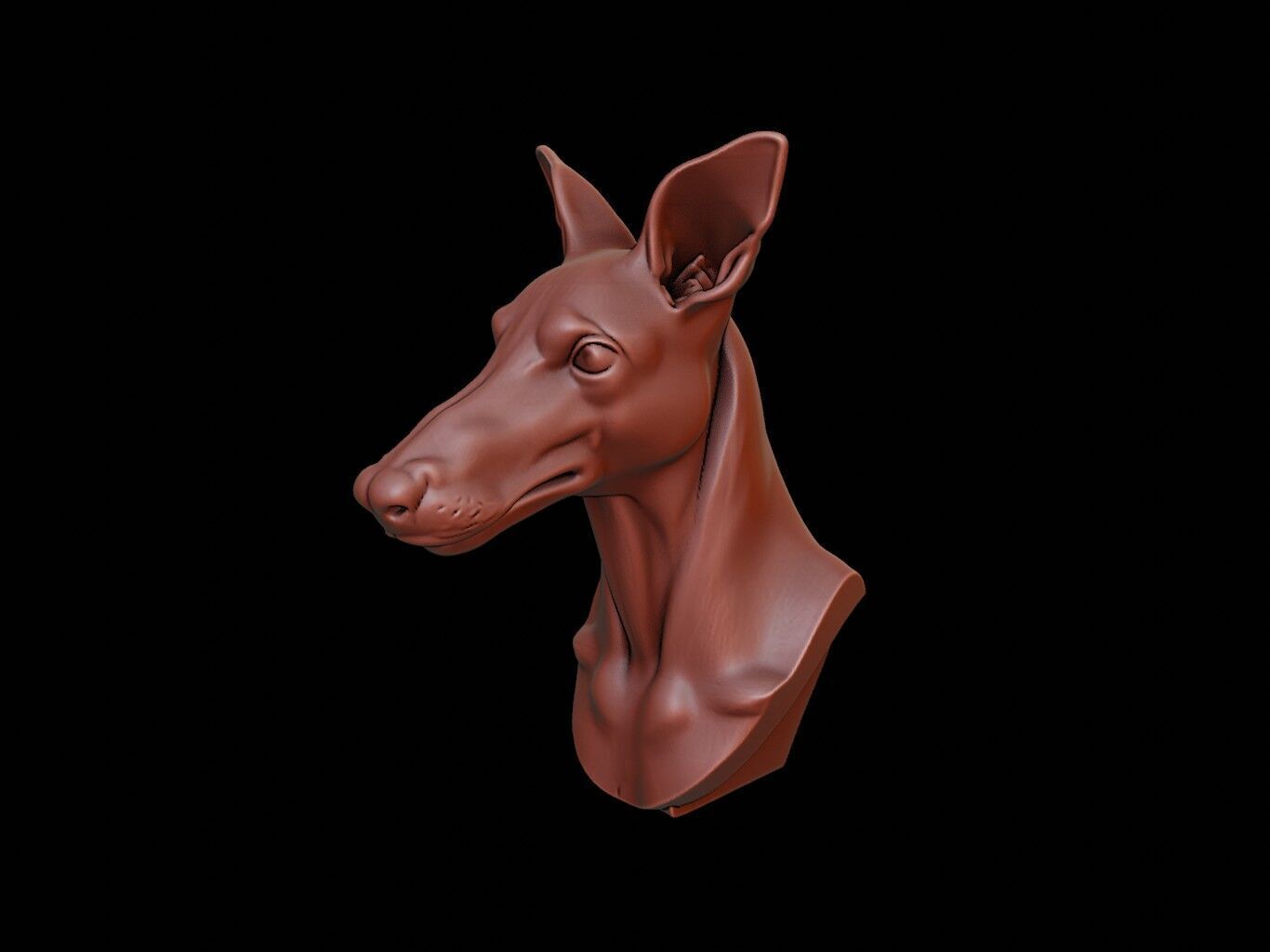 Kelpie Beast Bust 3D print model_1