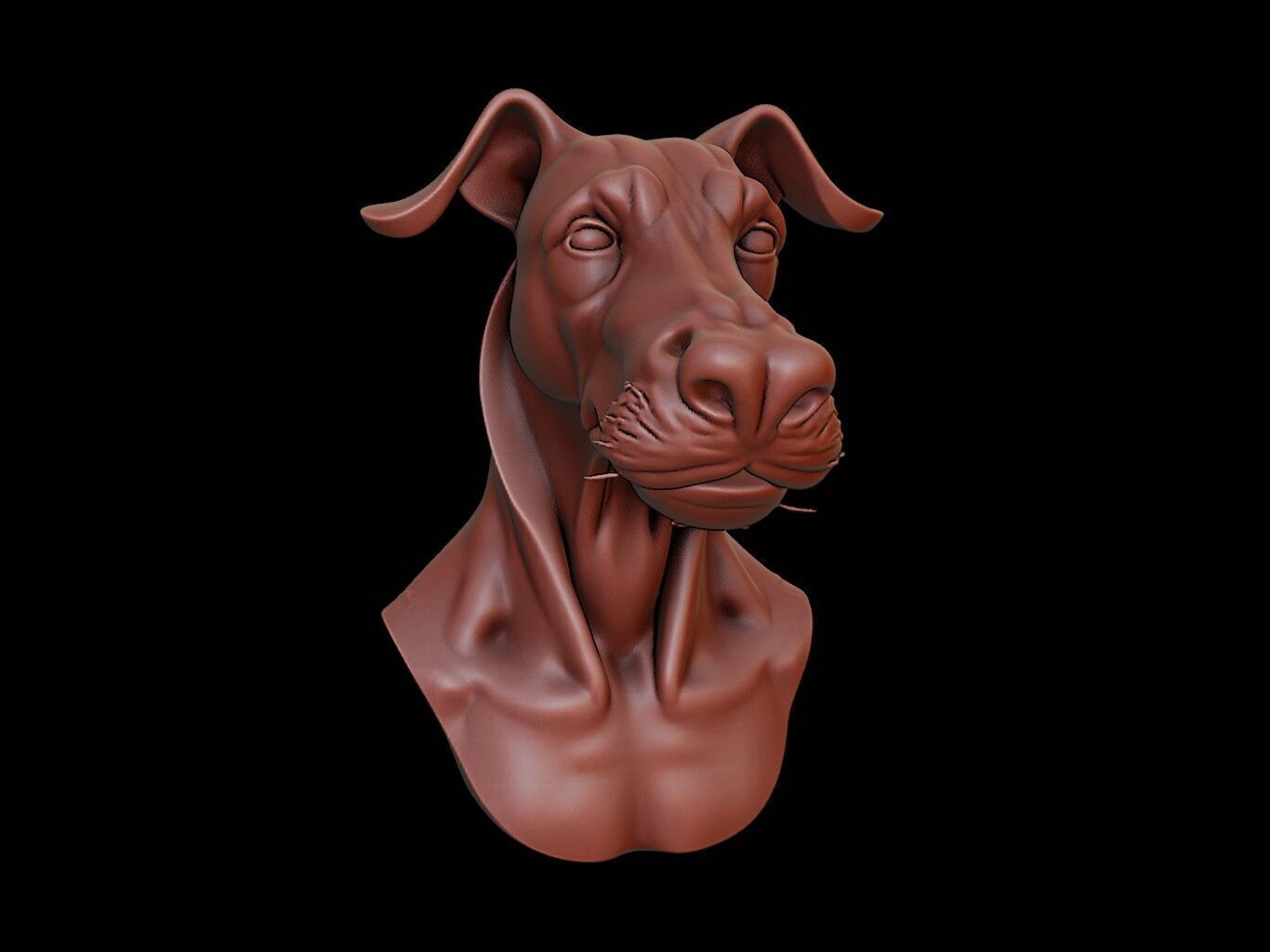 Kelpie Beast Bust 3D print model_2