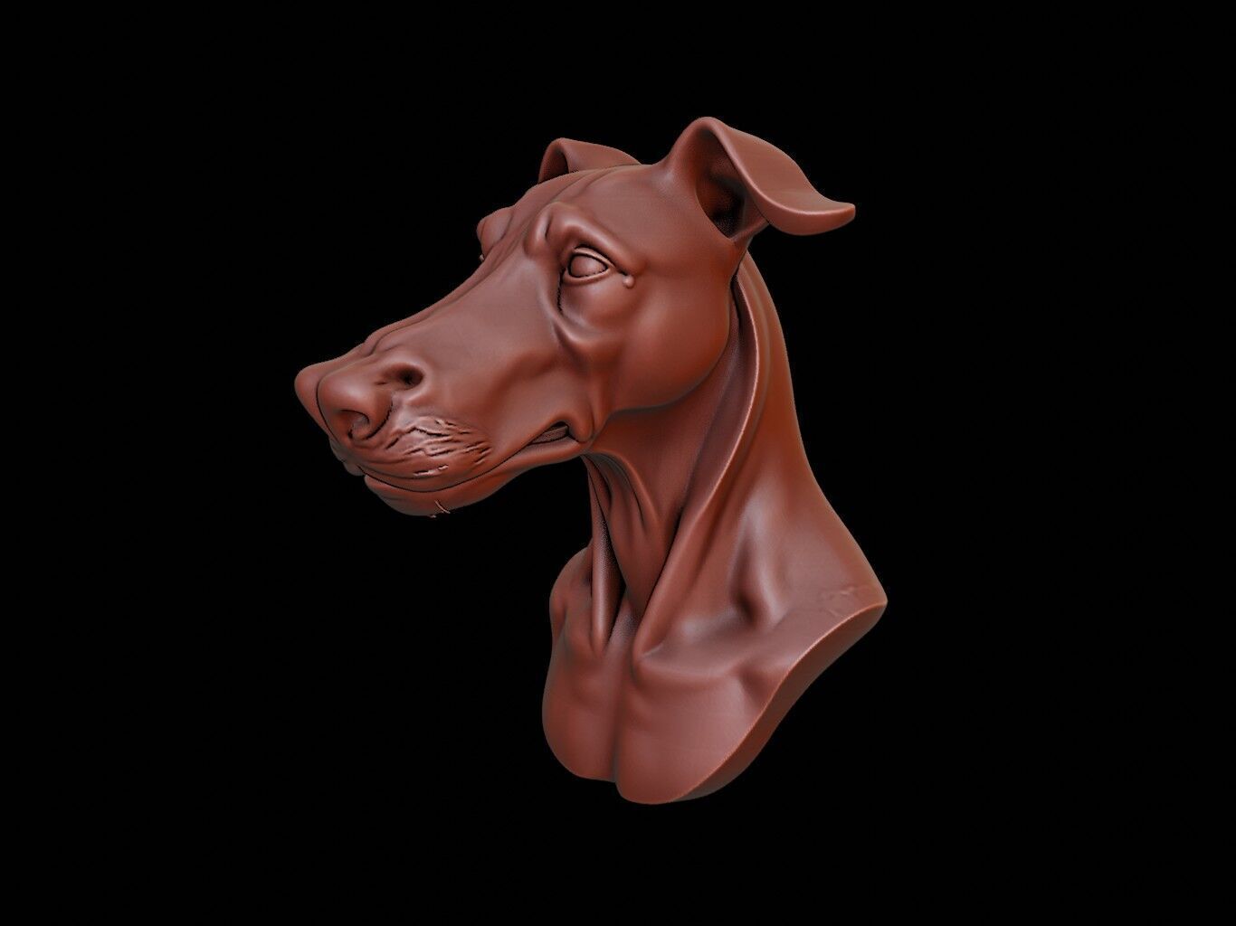 Kelpie Beast Bust 3D print model_1
