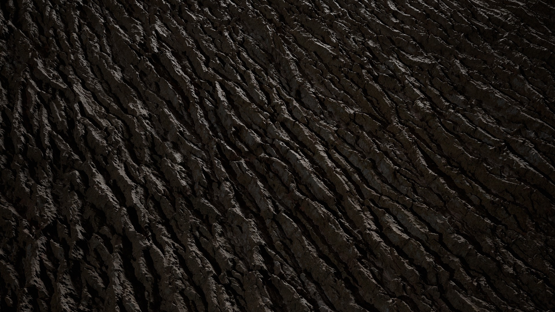 Anydrafts Lindera megaphylla Bark 03 Texture_2