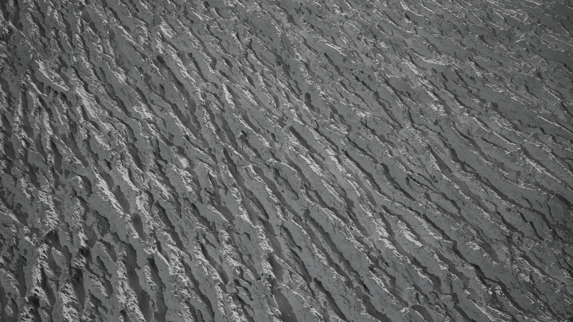 Anydrafts Lindera megaphylla Bark 03 Texture_3