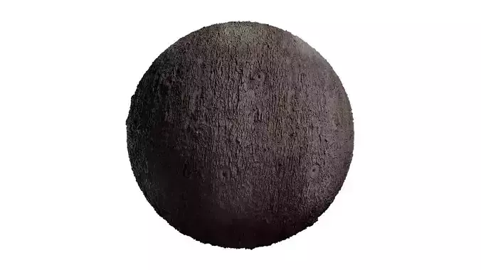 Anydrafts Lindera megaphylla Bark 05