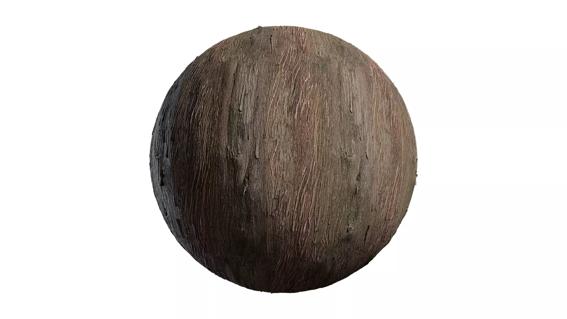 Anydrafts Lindera megaphylla Bark 06 Texture_0