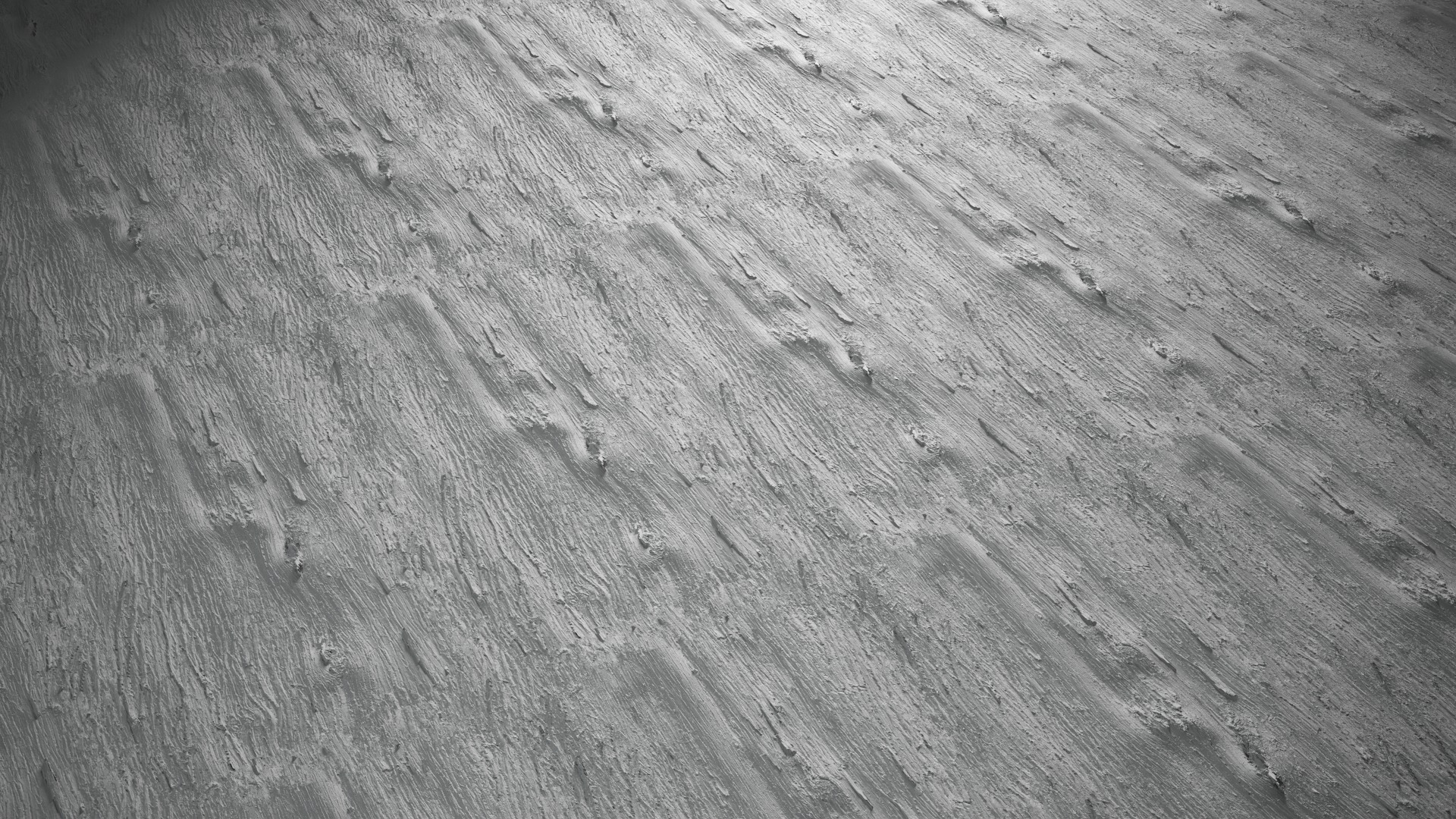 Anydrafts Lindera megaphylla Bark 06 Texture_5