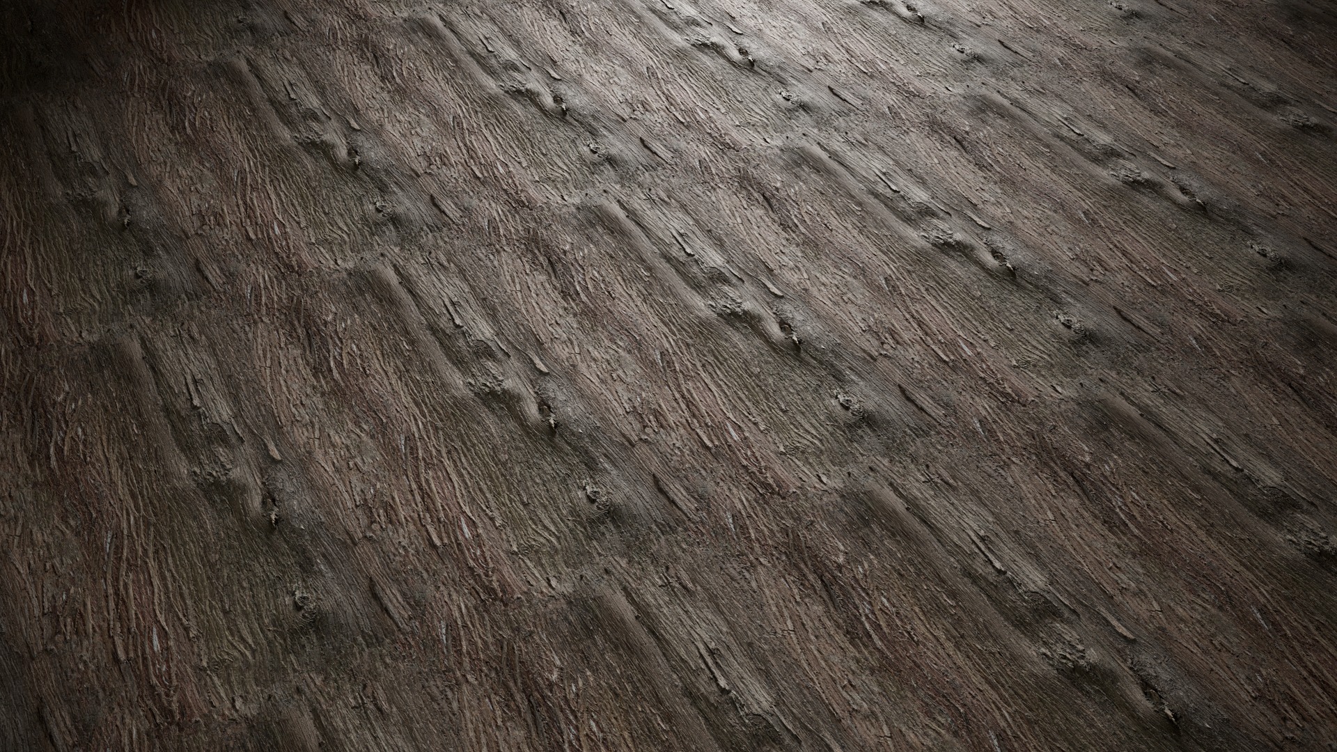 Anydrafts Lindera megaphylla Bark 06 Texture_4