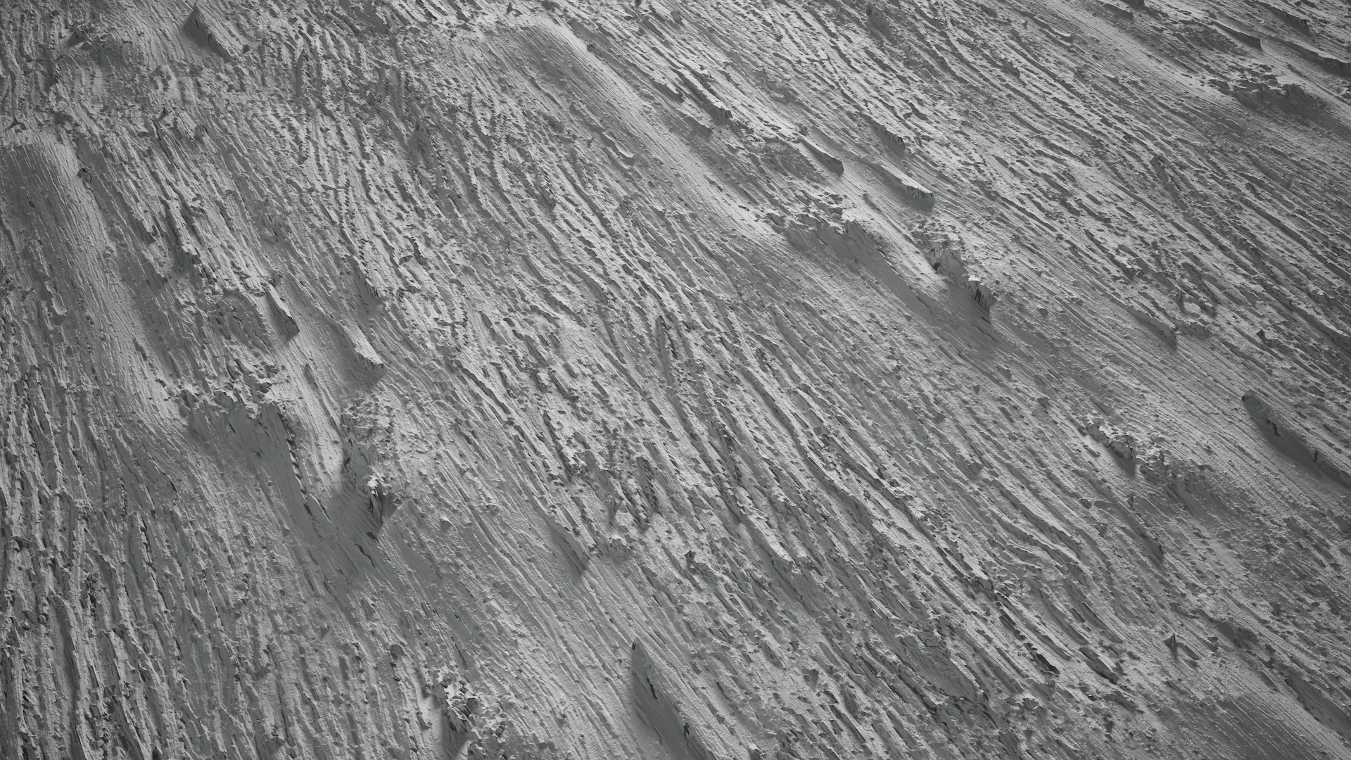 Anydrafts Lindera megaphylla Bark 06 Texture_3