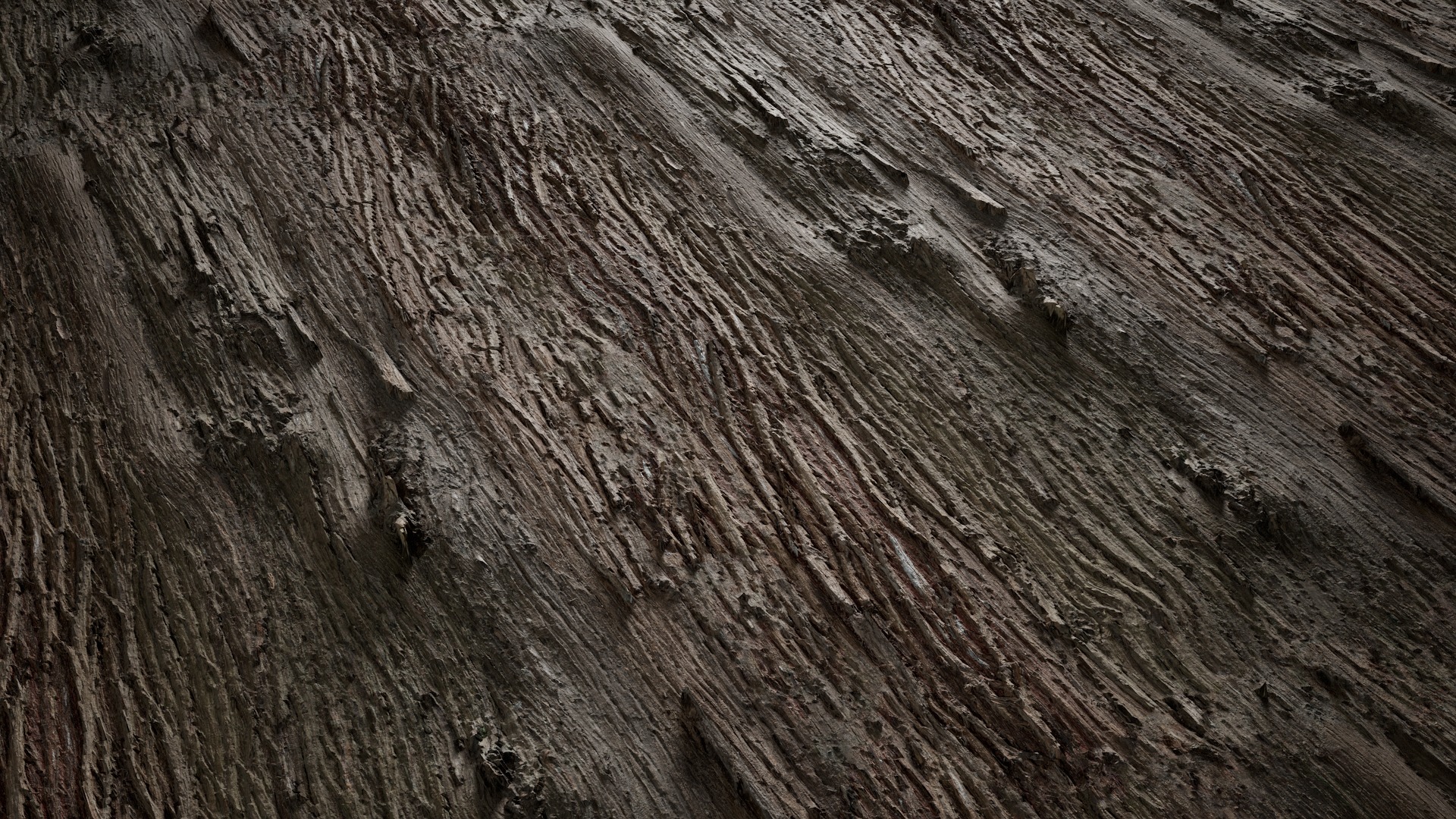 Anydrafts Lindera megaphylla Bark 06 Texture_2