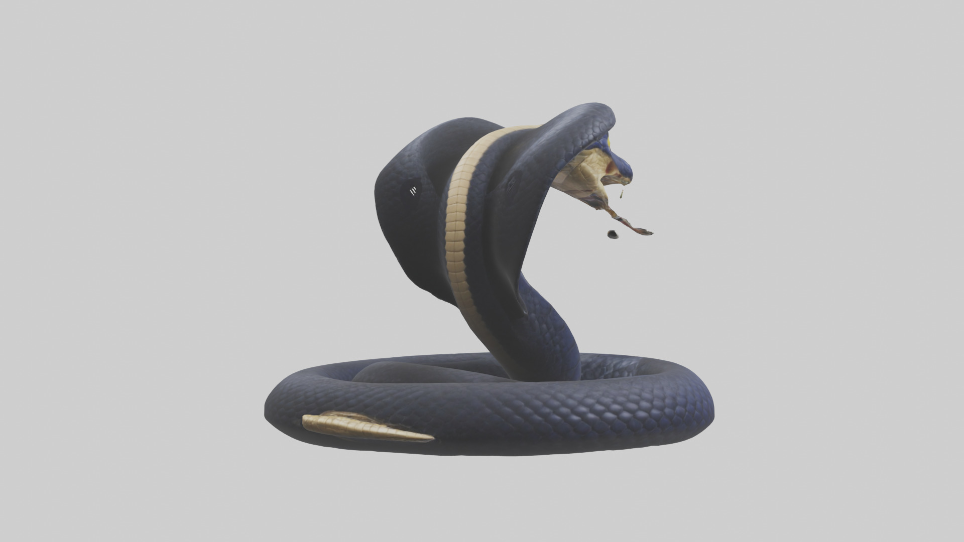 King Cobra striking model Low-poly 3D model_5