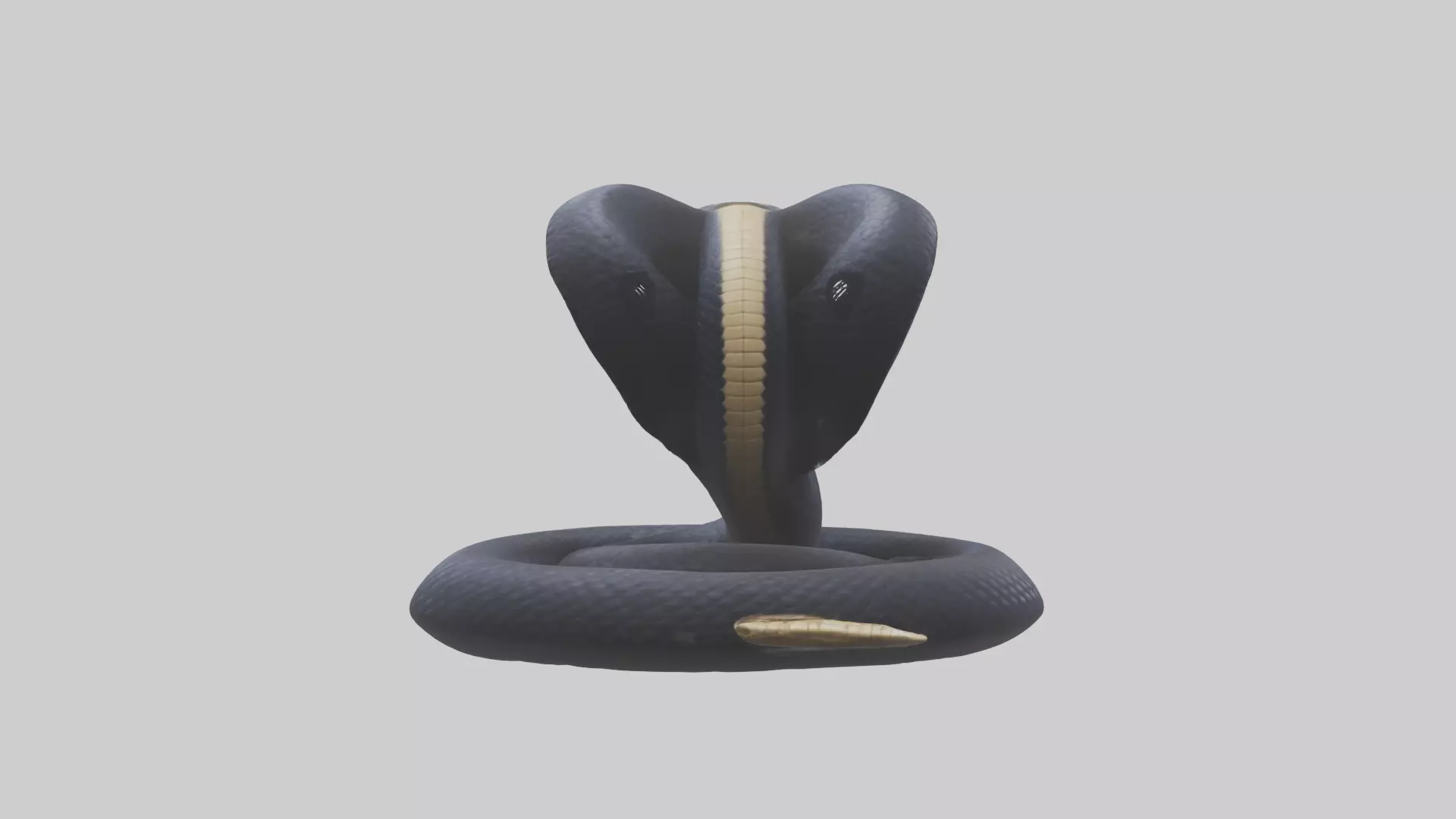 King Cobra striking model Low-poly 3D model_0