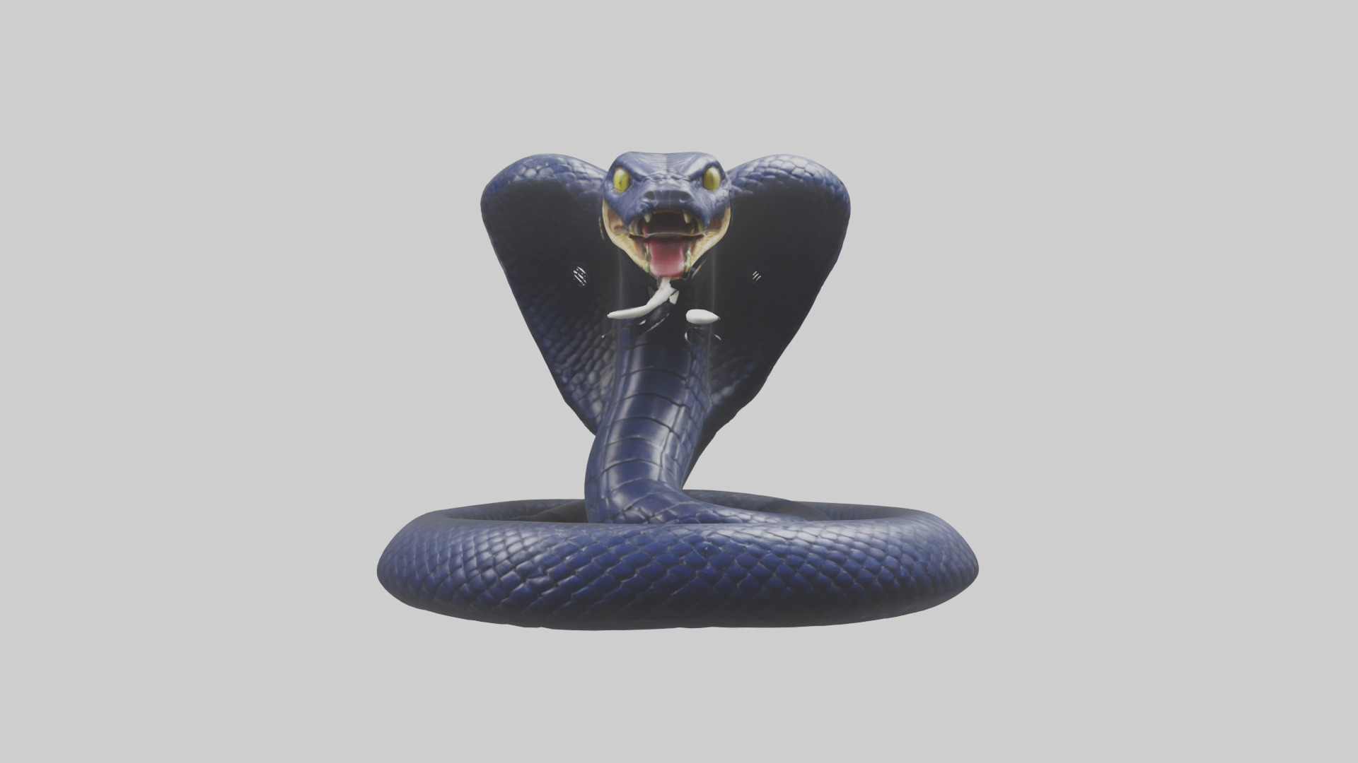 King Cobra striking model Low-poly 3D model_3
