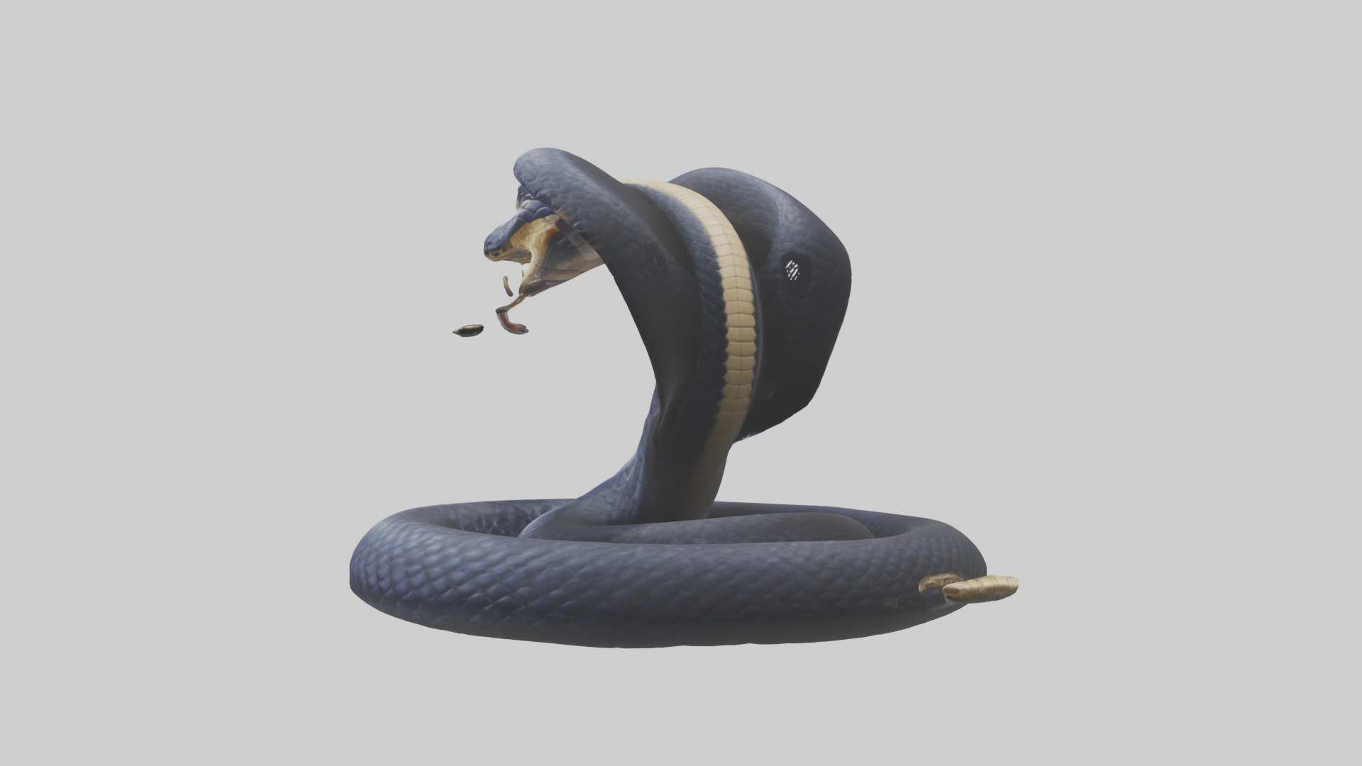 King Cobra striking model Low-poly 3D model_1
