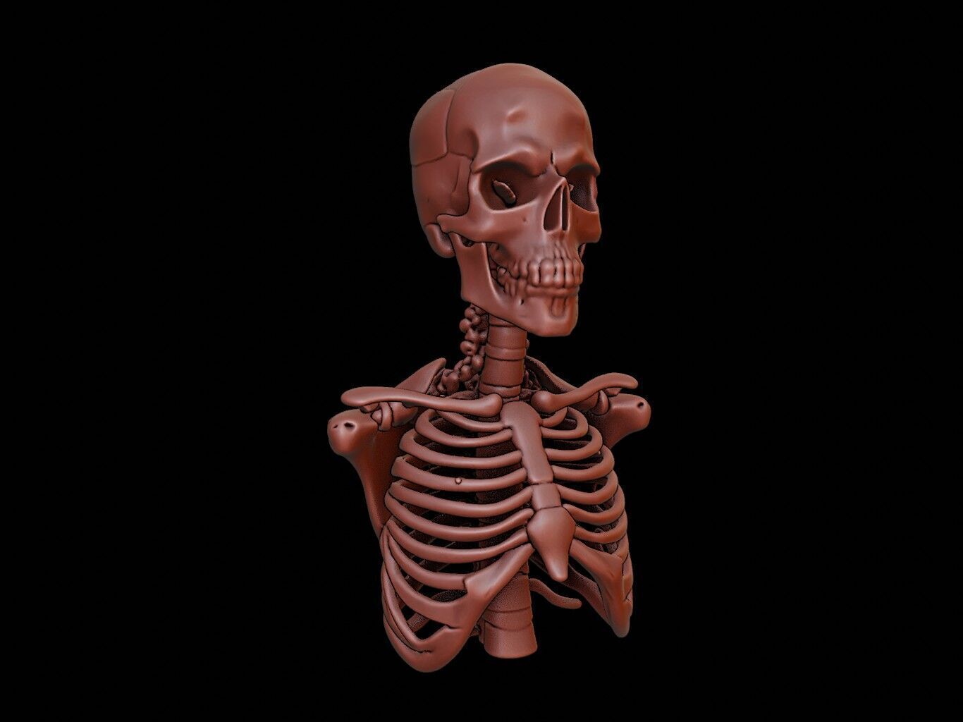 Skeleton Beast Bust 3D print model_2