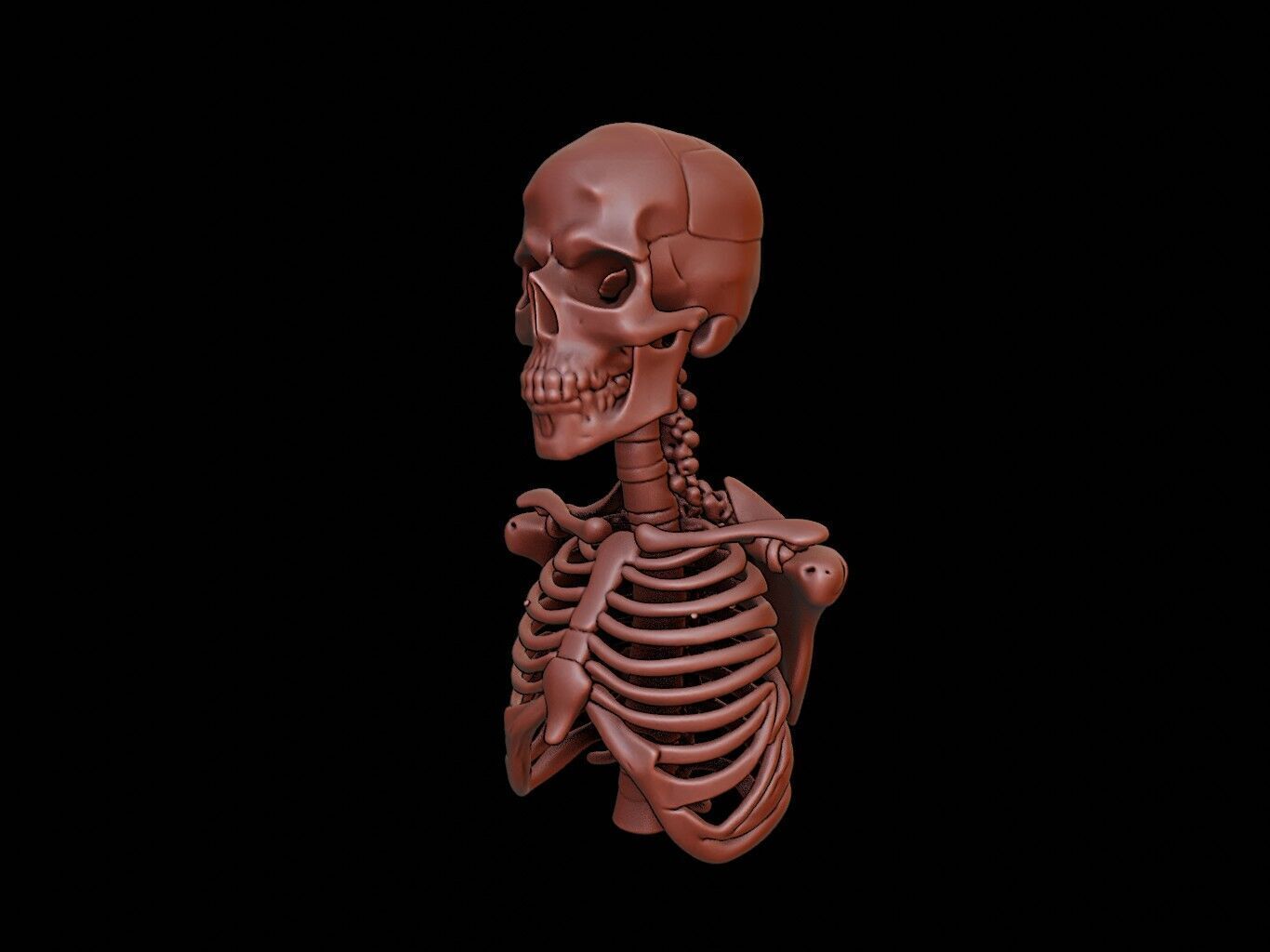 Skeleton Beast Bust 3D print model_1