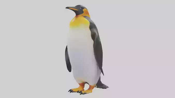 King Penguin standing model