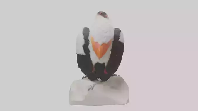 King Vulture perched model