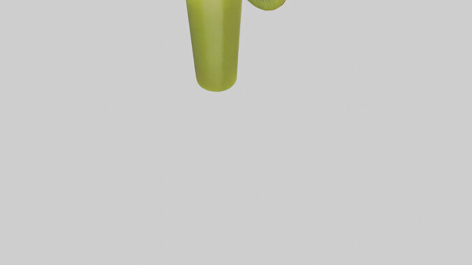 Kiwi juice model Low-poly 3D model 5