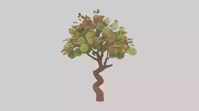 Kiwi tree model