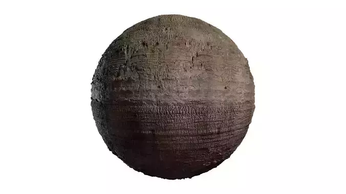 Anydrafts Livistona chinensis Bark 01