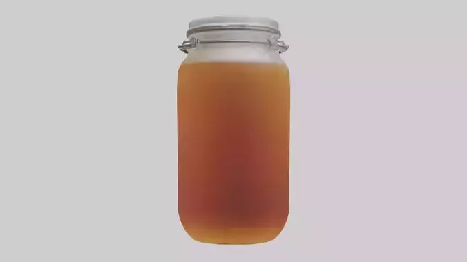 Kombucha model