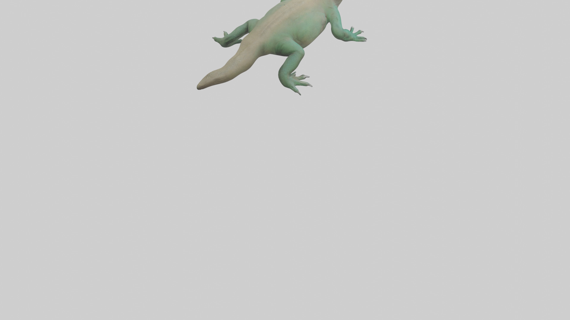 Komodo Dragon resting model Low-poly 3D model_6